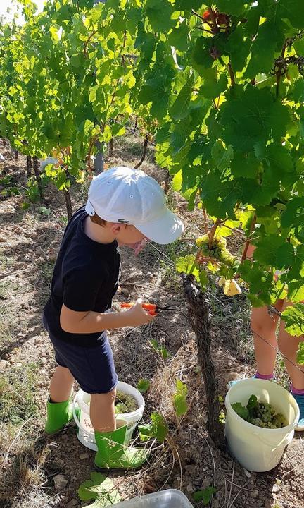 Weingut Gutsausschank Eibinger Zehnthof